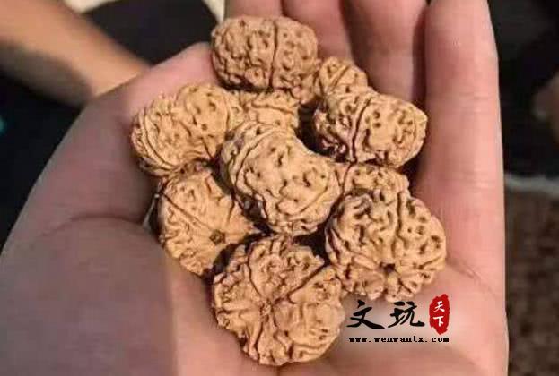 盘点一下金刚菩提常见的作假方式，你都听说过吗！-2