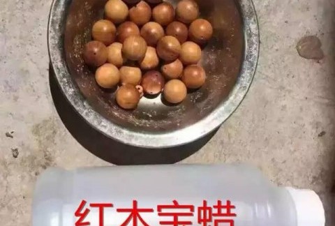 文玩骗局 之 “泡”制崖柏黑油素珠