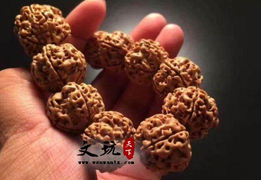 金刚菩提手串也有历史传承？不信，看下面这篇文章！-6