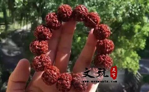 教你金刚菩提快速完美包浆奇技-2