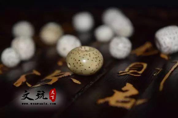 想玩星月菩提，这10个问题你必须明白！-5