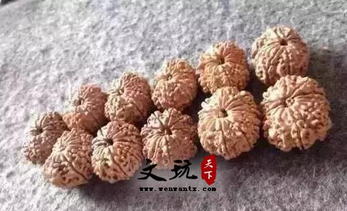 金刚菩提，这样盘玩才能最漂亮！-3