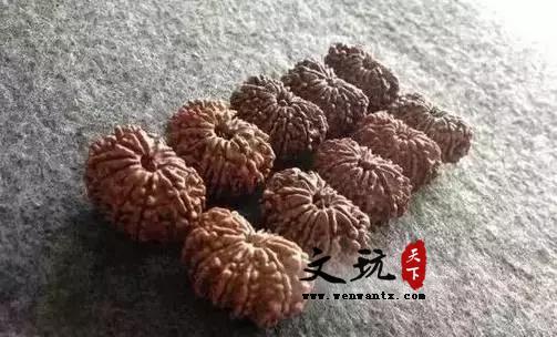 金刚菩提，这样盘玩才能最漂亮！-4