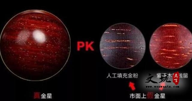 我的小叶紫檀盘着金星一直掉，怎么回事？-7