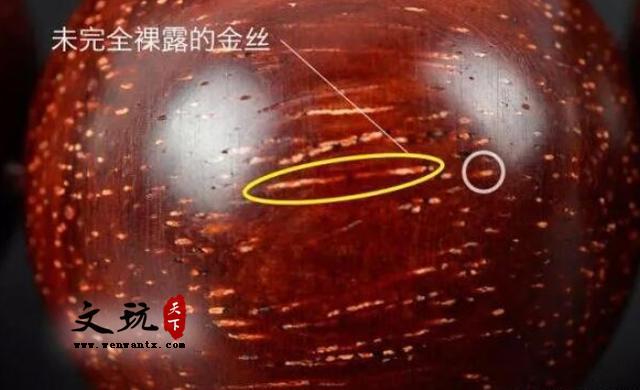 我的小叶紫檀盘着金星一直掉，怎么回事？-6