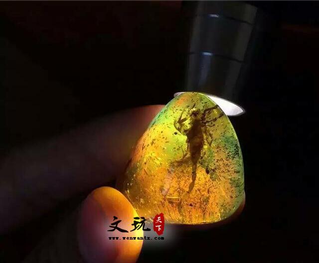 虫珀如何鉴定呢？特别注意以下六点-6