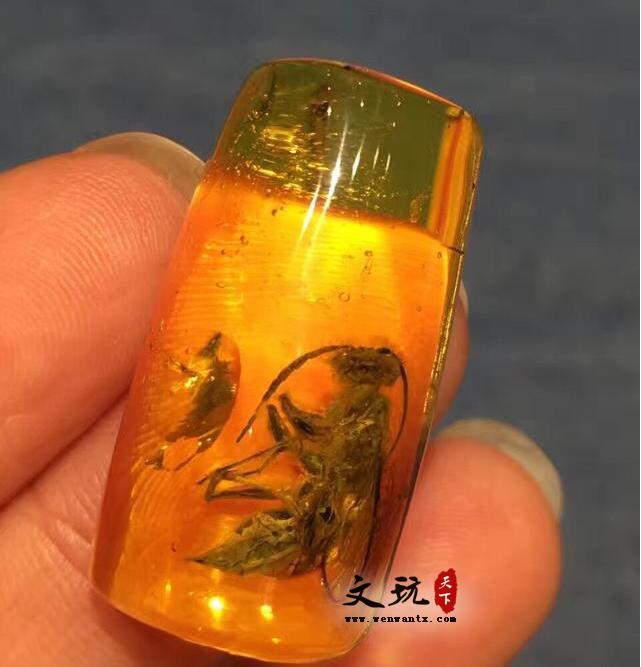 虫珀如何鉴定呢？特别注意以下六点-1