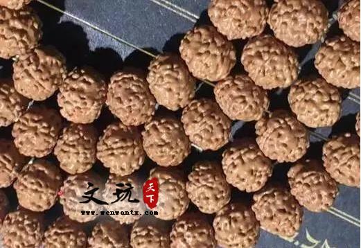 盘点小金刚菩提的各种纹路-3