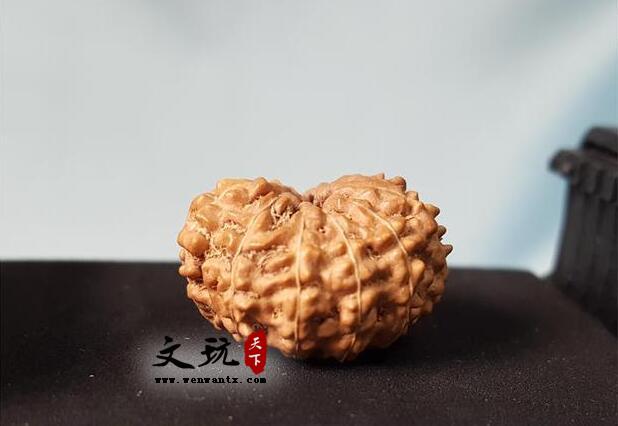 大金刚菩提文玩手串的桩型图解大全-10