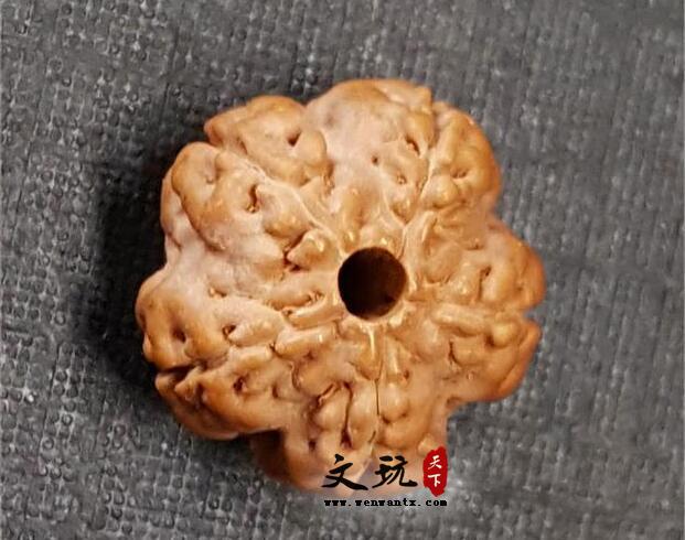 大金刚菩提文玩手串的桩型图解大全-14