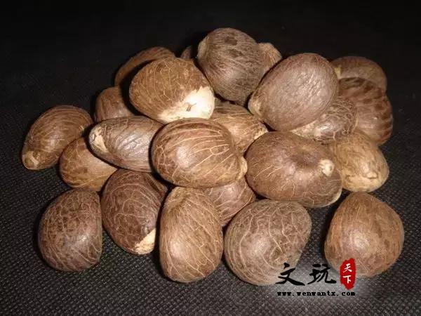 白玉菩提、菩提根、象牙果，对比分类大盘点-11