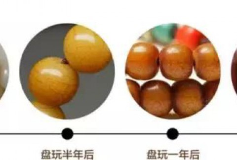 菩提根的“盘玩大法”，你了解多少？