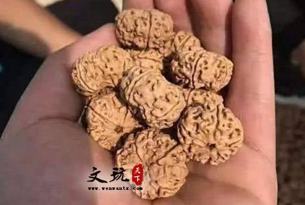 聊一聊金刚菩提常见的作假方式，我敢说很多你都没听说过！-2