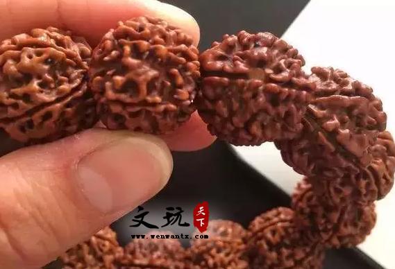 金刚菩提新手入门随笔-3