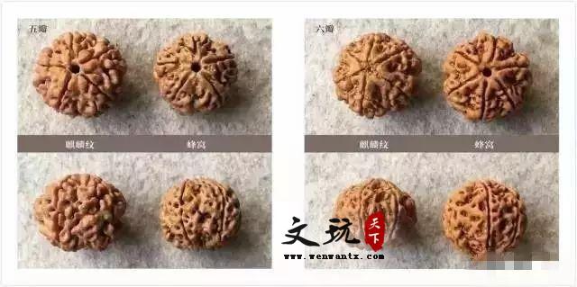 想盘玩出好的金刚手串？可以看看这篇！-4