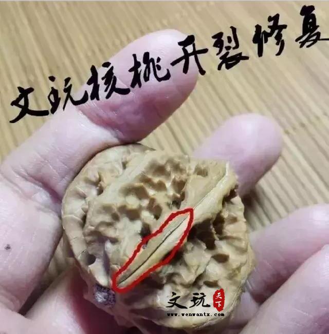 文玩核桃和橄榄核为什么容易开裂？大裂和小裂各有修补妙法-1