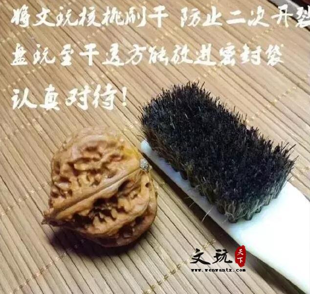 文玩核桃和橄榄核为什么容易开裂？大裂和小裂各有修补妙法-2