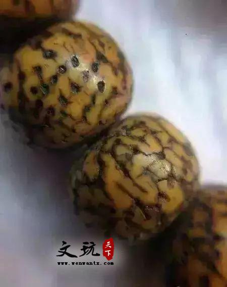 如何鉴别星月菩提是自然开片的还是人工做旧的赝品-5