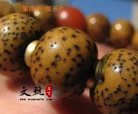 星月菩提如何盘玩 星月菩提盘玩过程图-5