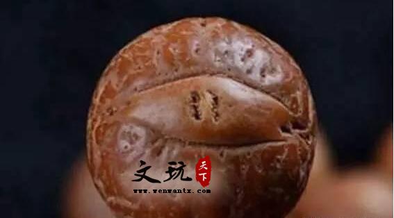 文玩常识：凤眼菩提知识-6