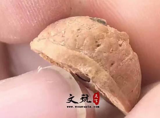 凤眼菩提内部构造讲解-3