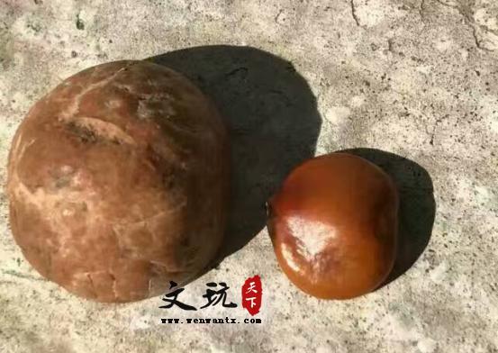 凤眼菩提内部构造讲解-4