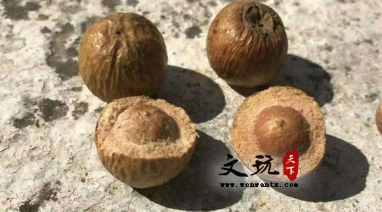 凤眼菩提内部构造讲解-7